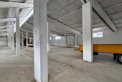 Hala de depozitare industriala Bors - 2