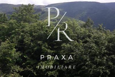 Teren de vanzare 10.000 mp/ parcelabil, cu utiitati, 4 euro/ mp! Maguri Racatau! - 11