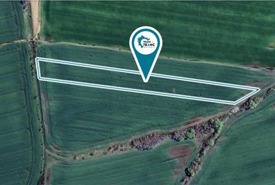 Teren agricol de 1,14 ha in Zimandu Nou - 1