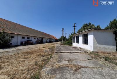 COMISION 0% Spatiu industrial de 695 mp si teren de 1821 mp - Giulvaz - 10