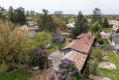 Teren 6.000 mp de vanzare - deschidere la drum principal | Ogrezeni, G - 12