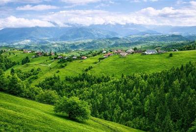 7.000 mp, pozitie spectaculoasa, fara vecini, Fundatica, Brasov - 1