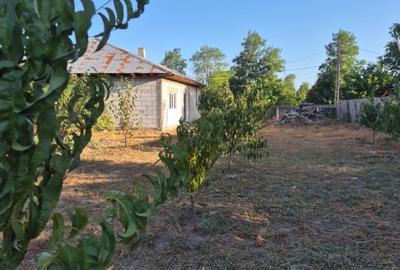Casă de vânzare în comuna Făcăeni, județul Ialomița – teren 2600 mp, casă nouă, - 11