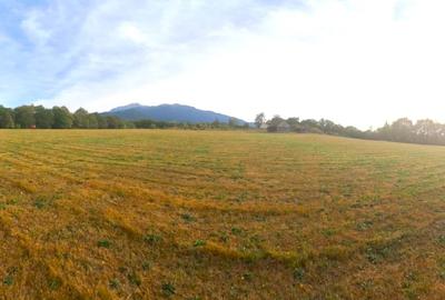 Teren cu panorama de vis in Glajerie- Sohodol - 6