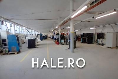 Hala de inchiriat Chiajna pentru depozit sau productie 1060 mp - 3