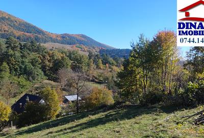 3600 mp teren intravilan, sat Bistrita, 12 Euro/mp - 2