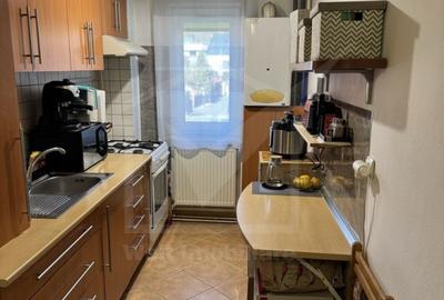 Apartament cu 2 camere Grigorescu, aproape de Parcul Rozelor - 3