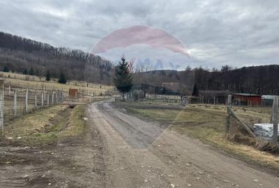 Teren 999 mp. Front 15,70 ml. Valea Garbaului - Floresti - 12