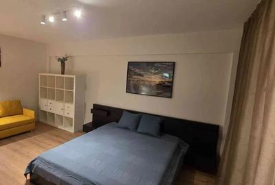 Apartament cu o camera, renovat 2025 - 1