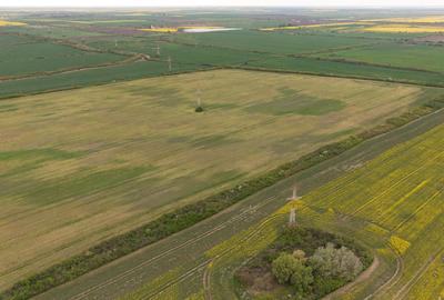 Teren investițional strategic 44.700 mp Arad Vest - 16