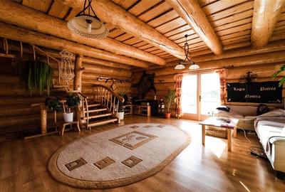 Casa din busteni cu ferma zootehnica si afacere (Tengheler, Com. Ditrau) - 3