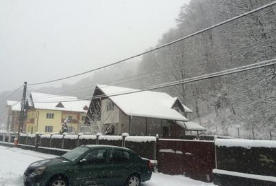 CASA DE VACANTA - TISMANA - GORJ - 9