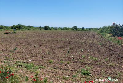 Teren  intravilan  540 mp / Vama Veche - 1