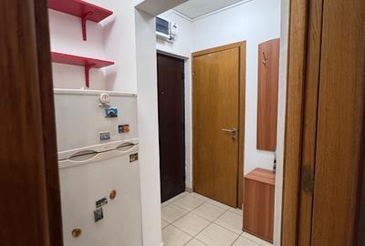 Gasoniera Iancului-Pantelimon - 17