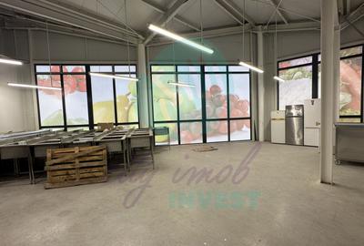 Spatii comerciale de inchiriat in PIATA DELFINULUI - 3