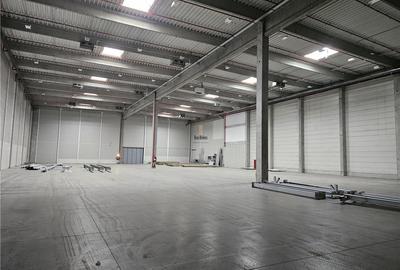 Spatiu Industrial - 3300 mp - Logistica - Productie - Depozitare - Distributie - 8