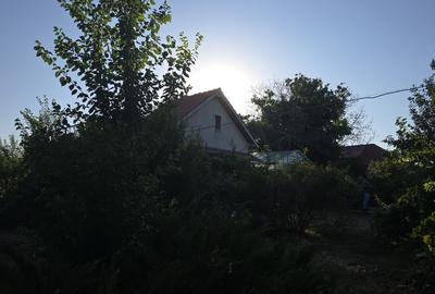 Casă individuală P+E + 2 anexe, teren 3.052 mp – Dârvări, jud. Călărași - 5