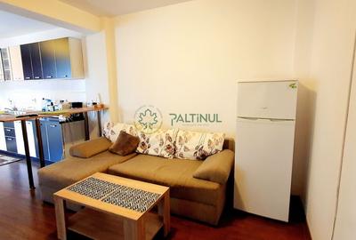 Apartament cu 2 camere, Doamna Stanca