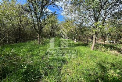 Casa cu 4 camere si teren de 2698 mp in zona Freidorf - 10