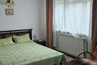 Vila Busteni vedere exceptionala! - 23