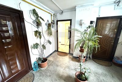 De inchiriat apartament 2 camere, Nord, Judetean, Cameliei - 1