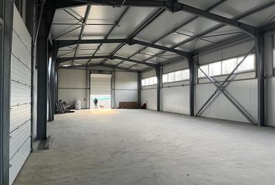 Inchiriere depozit/hala/spatiu industrial Pantelimon - Centura, ILFOV - 3