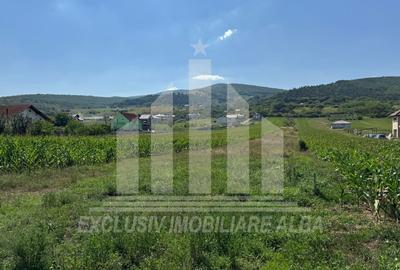 Teren intravilan | De vanzare | 5100 mp | 15 ml | Micesti - 4