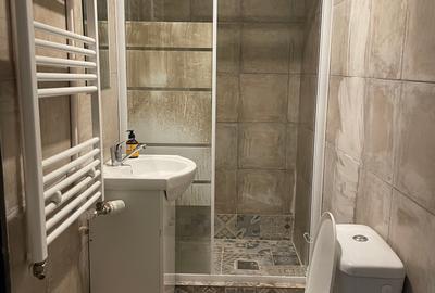 Charming Attic Apartment in Villa | Mătăsari Area | Fully Furnished & Cozy - 8