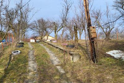 Teren Intravilan 43Ari zona Ortelec-Zalau intre case 4800eur/ar - 2