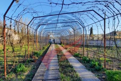 Casa de vanzare/Balcesti/Valcea/Str Pietii - 7