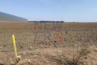 Teren industrial de vanzare 13.999 mp zona Eli Park Buftea - 5