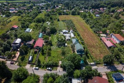 Teren de 4.636 mp în Inima Snagovului – Oportunitate Premium la doar 59 €/mp - 10