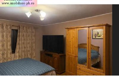 Casa de vanzare:Malu Rosu(compusa din 2 imobile separate in aceasi curte) - 9