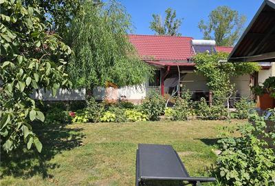 Casa tip parter + beci si teren 4684 mp in Candesti, Vernesti - 22