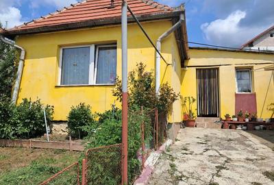 Casă individuală cu 3 camere în Gușterița