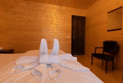 🏡 Cabană montană premium cu SPA de vânzare | Beliș | panoramă Vlădeasa - 14