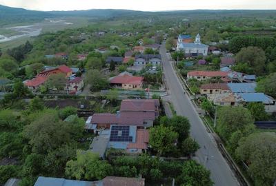 Casă cu teren Tifesti / Sarbi - 16