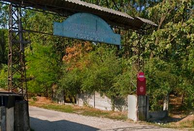 Teren Intravilan de vanzare - 3