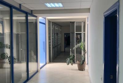 Ansamblu de spatii de productie /depozitare si birouri - 8