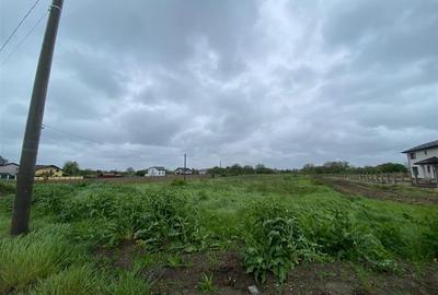 Teren intravilan | 3993 mp | Ciorogarla, Ilfov | Utilitati - 12