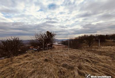 Teren Construcții intravilan de 770 mp, în Deușu