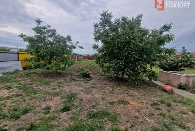 Casa individuala de vanzare cu 5 camere si teren de 2543 mp - Izvin - 13