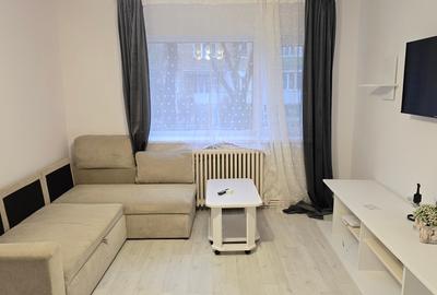 Vand apartament cu 2 camere in Deva, zona Al. Muncii, parter, mobilat, utilat - 9