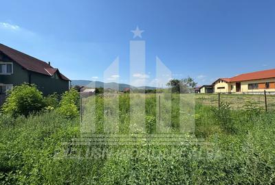Teren intravilan | 4000 mp | 24.5 ml deschidere | Alba-Micesti - 4