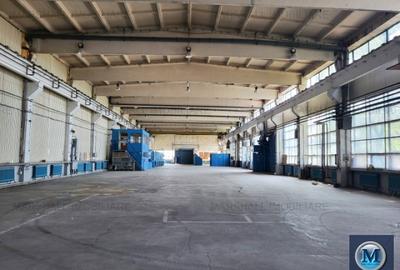 Spatiu industrial de vanzare, zona Sud, 1633 mp #15960 - 5