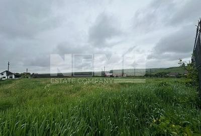 Teren Intravilan de Vanzare | Moara Carp, Suceava | Pret: 95.000€ - 2