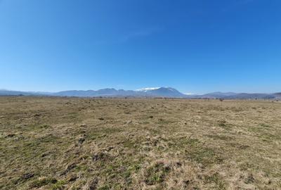 Teren Rasnov spre Bran pretabil investitie 4 euro/mp - 5