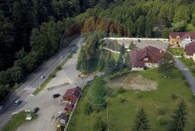 Resort Montan & Oportunitate de Investiție – Poiana Sărată - 3