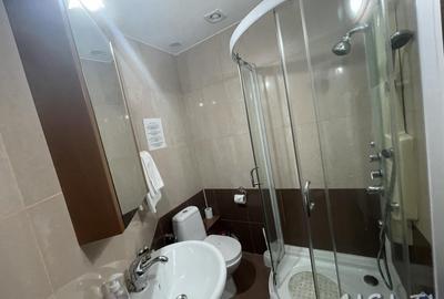 Imobil P+1 (8 Camere), Strada Grivitei - 10