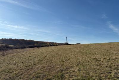 Parcele teren pentru cabane - sat Rusciori 567 mp - direct de la proprietar! - 10